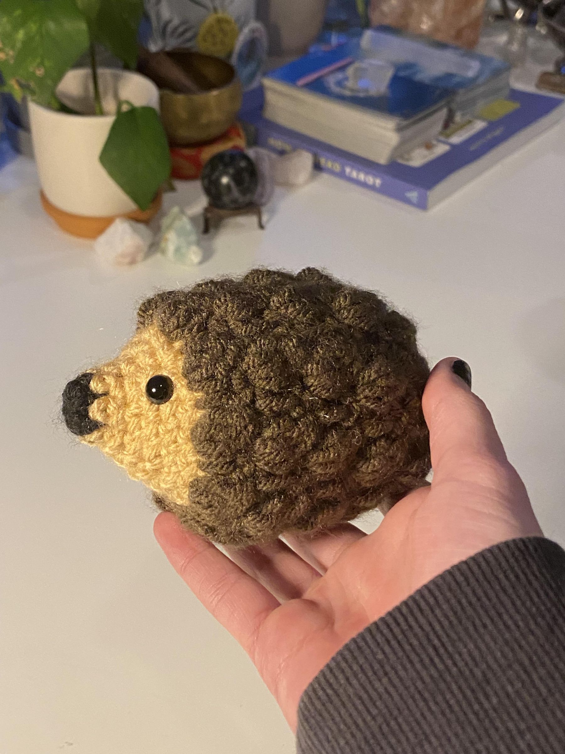 Crochet Amigruumi Hedgehog