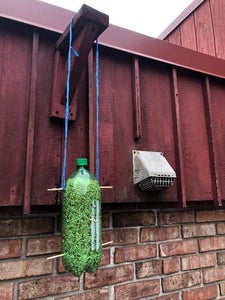 Step 11: Hang the Bird Feeder