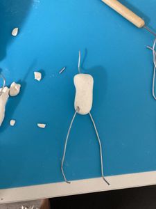The Body and Wire Armature