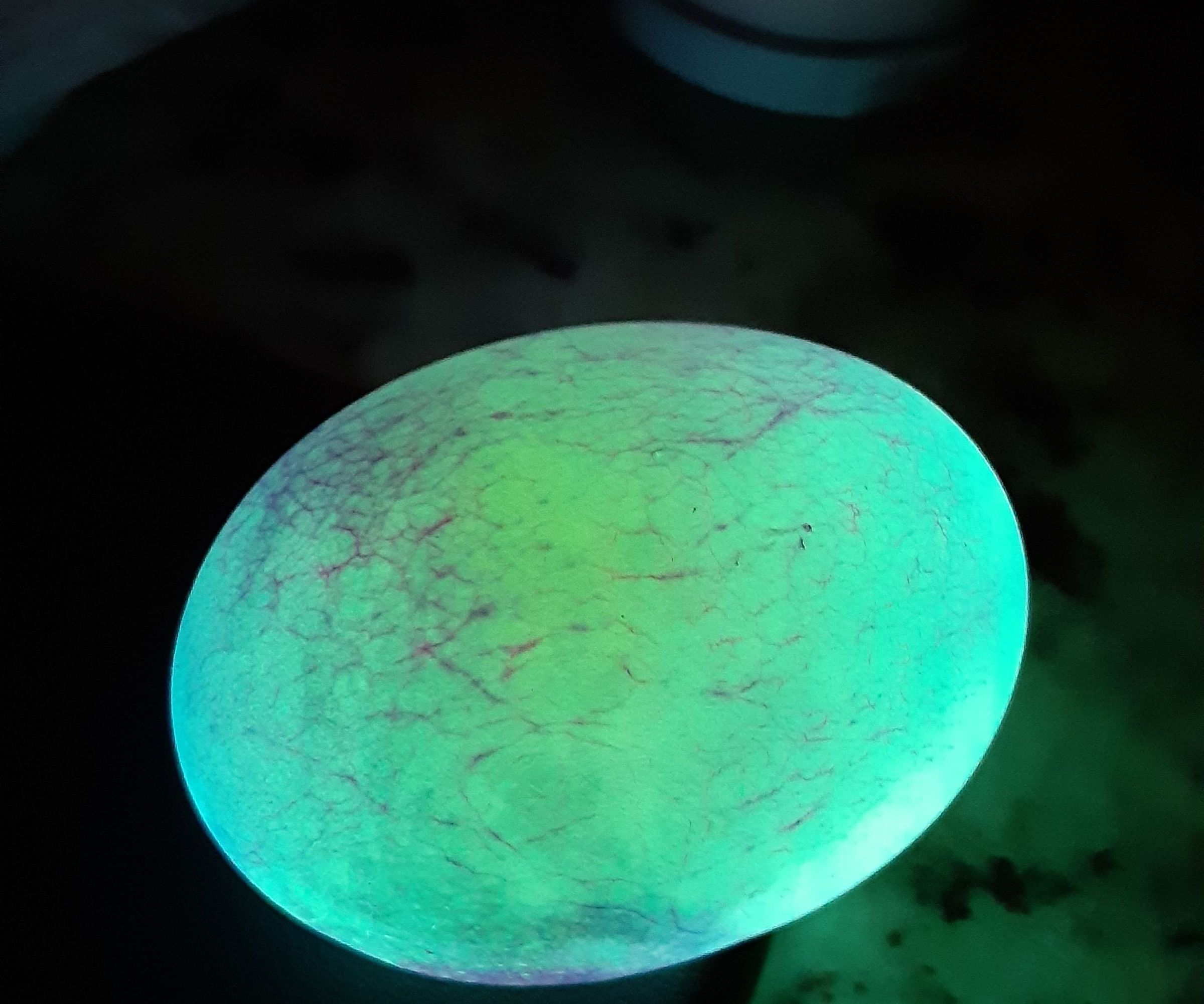 Egg in Vinegar 