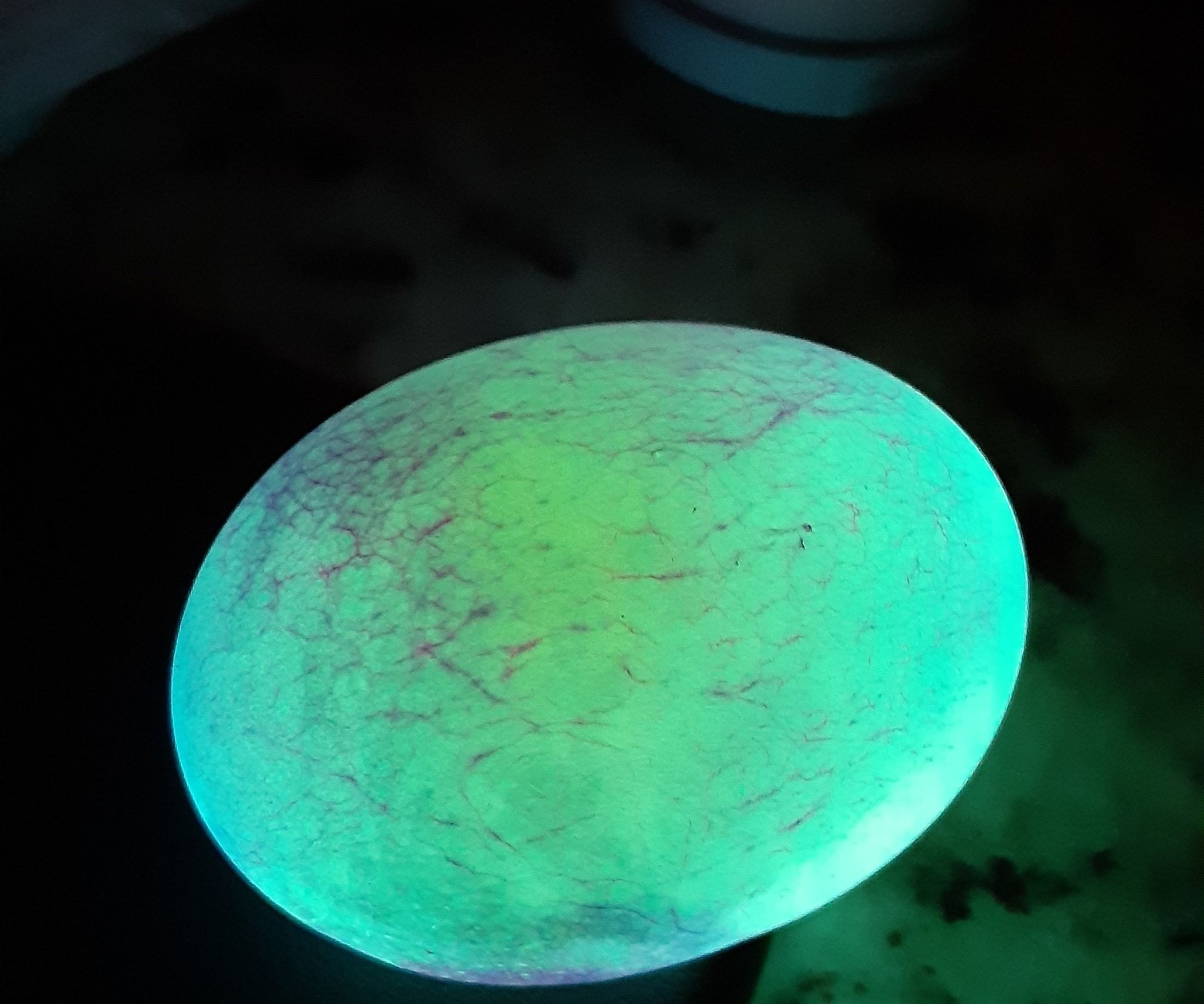 Egg in Vinegar 8 Steps Instructables