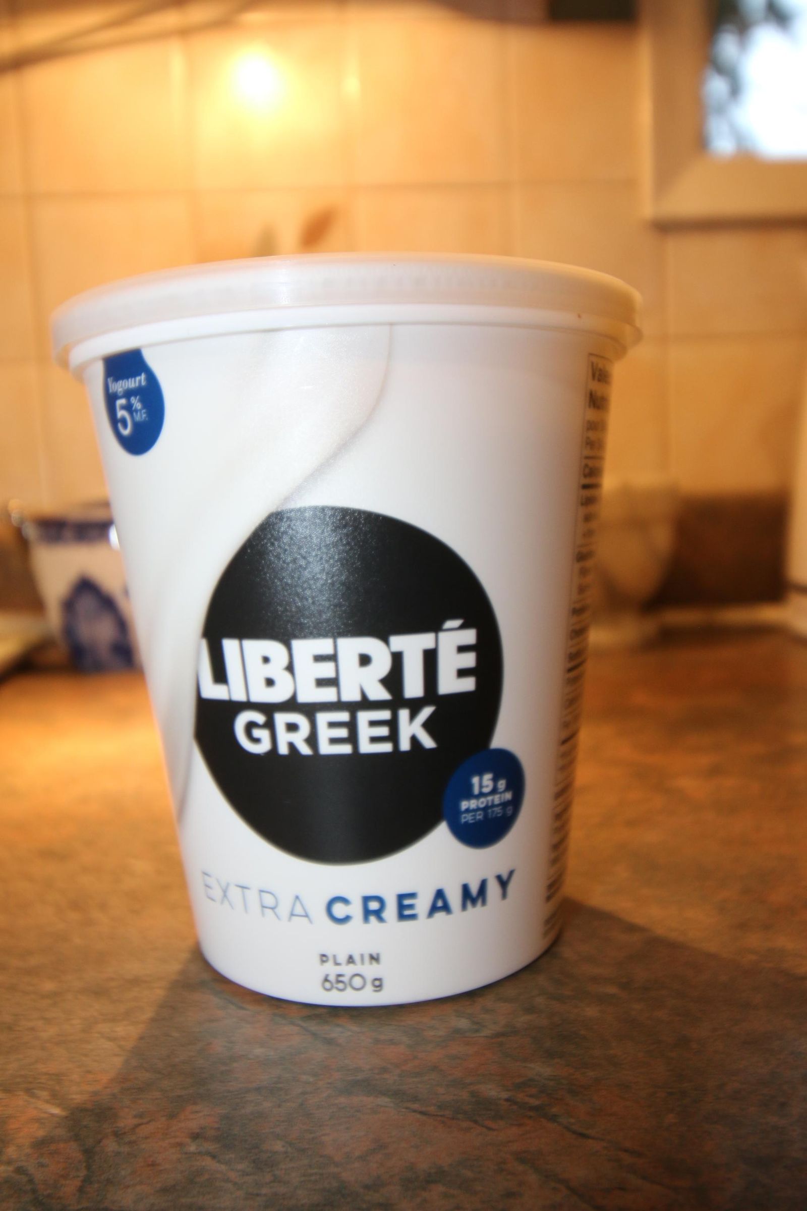 Flavoured Yoghurt for Diabetics 3 Steps Instructables