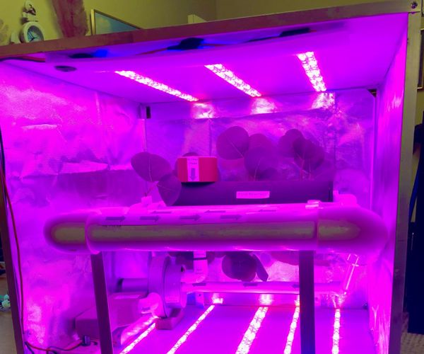 Veggie Hydroponic Grow Box for Micro Gravity