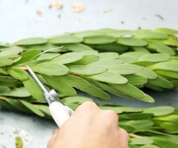 Prep Your Greens