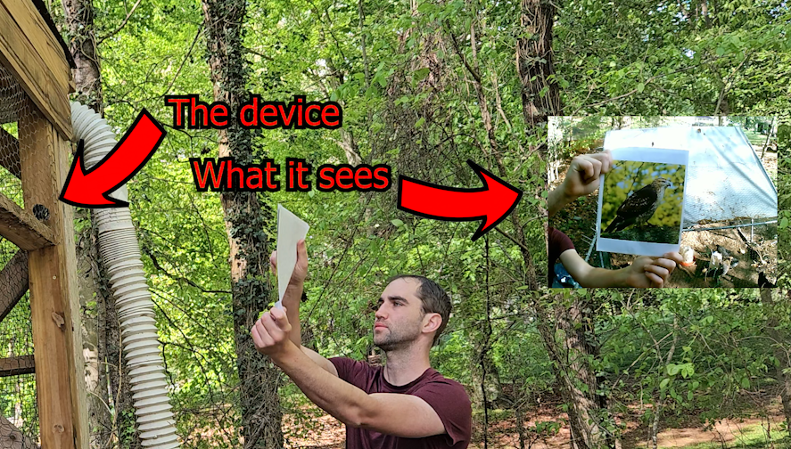 Putting It Into Action!