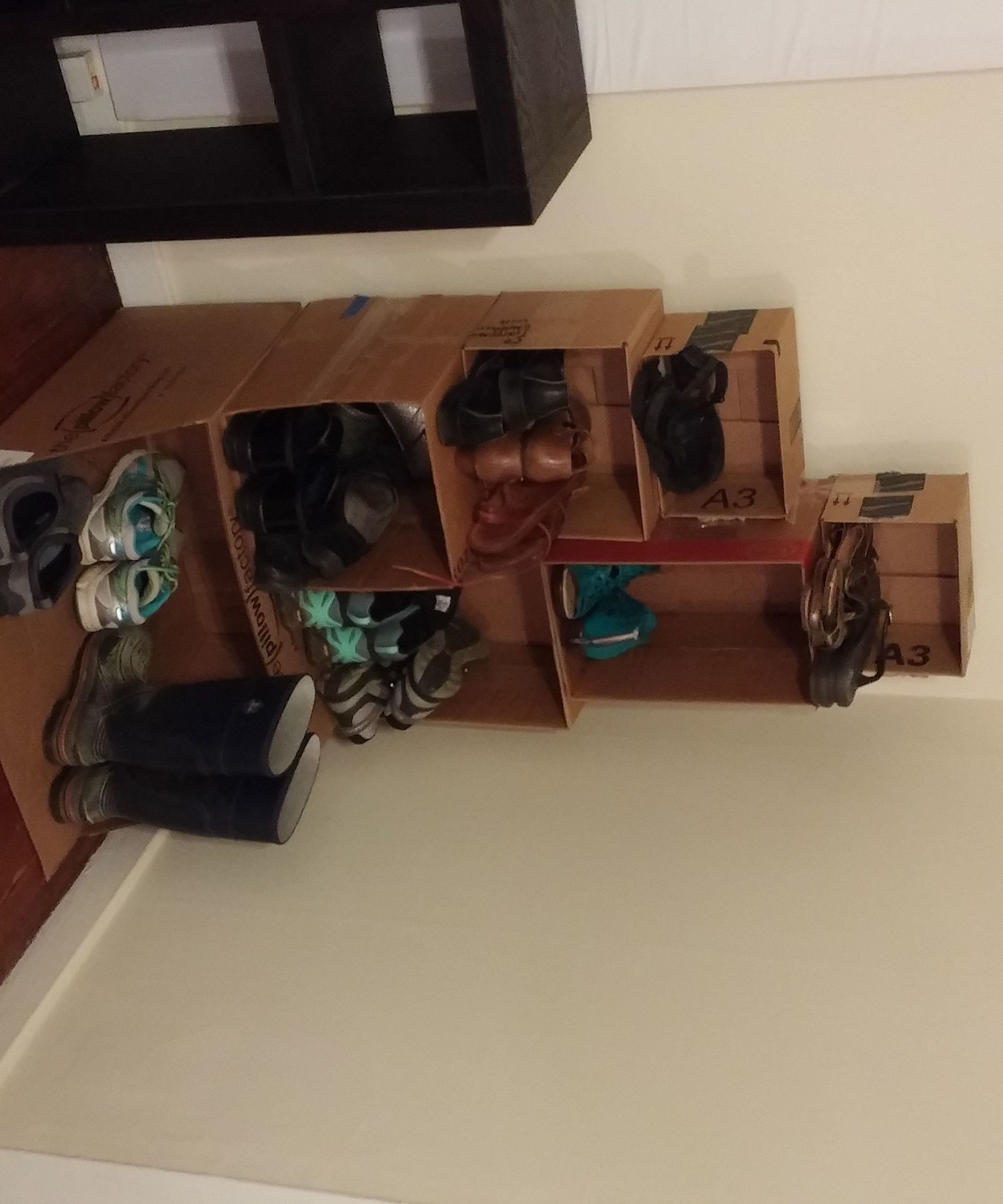 Cardboard Box Shoe Rack