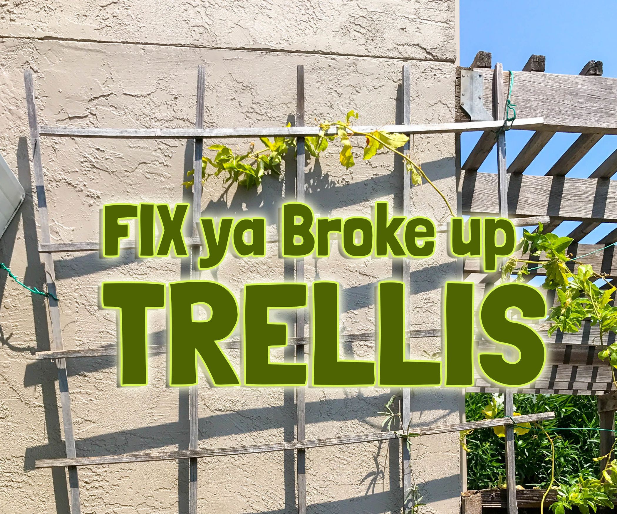 Fix a Trellis : 3 Steps - Instructables