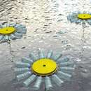 Collection Cover Image: Keep the Bottle Contest Winners