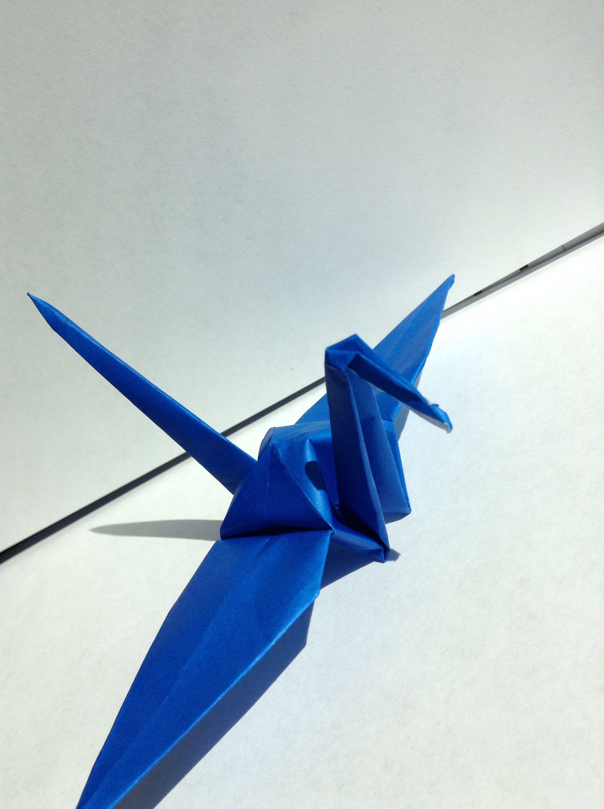 Make an Origami Swan!