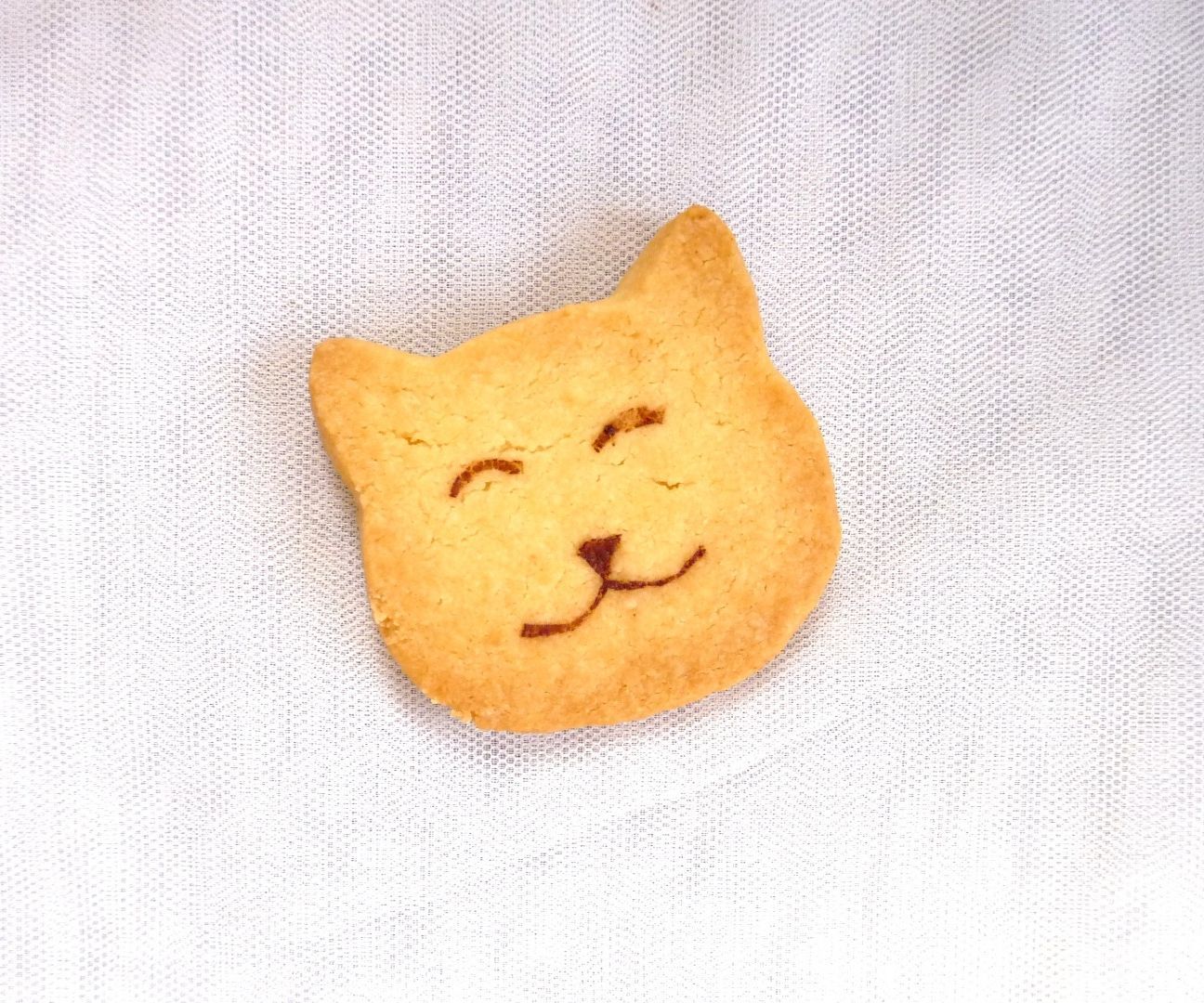 How to Cocoa Print Cookies With Custom Designs