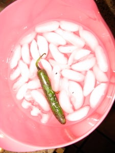 Preparing the Serrano Chilies Part 1