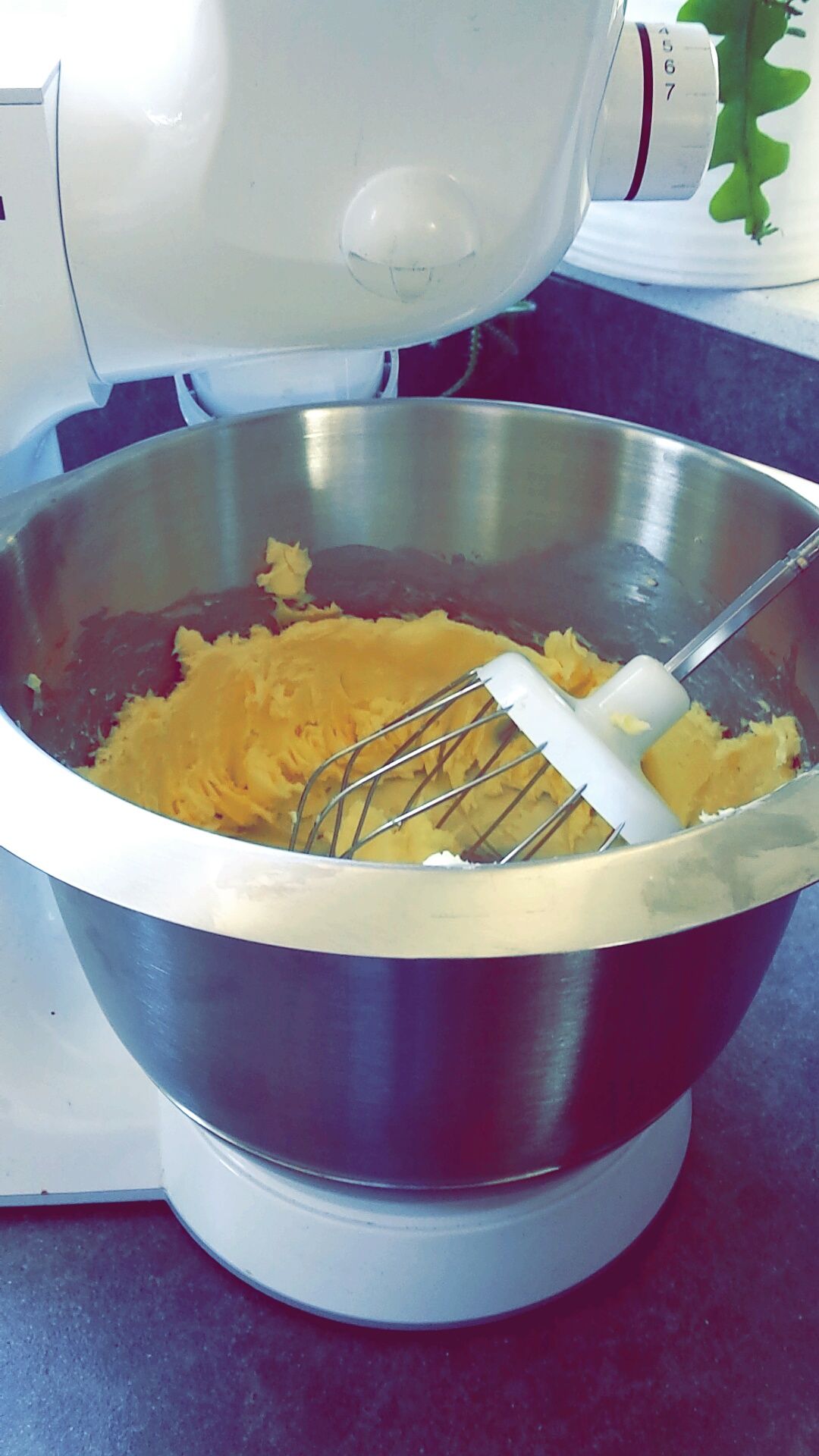 Dutch Chocolate Chip Spritz Cookies! 5 Steps (with Pictures