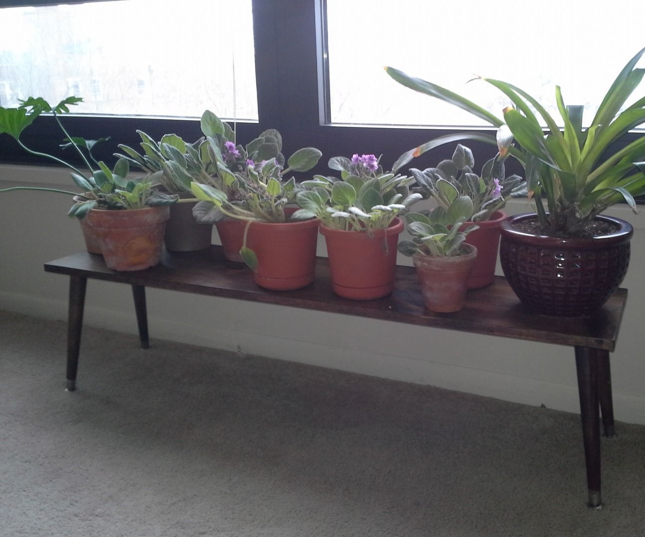 4' Midcentury-Style Plant Bench