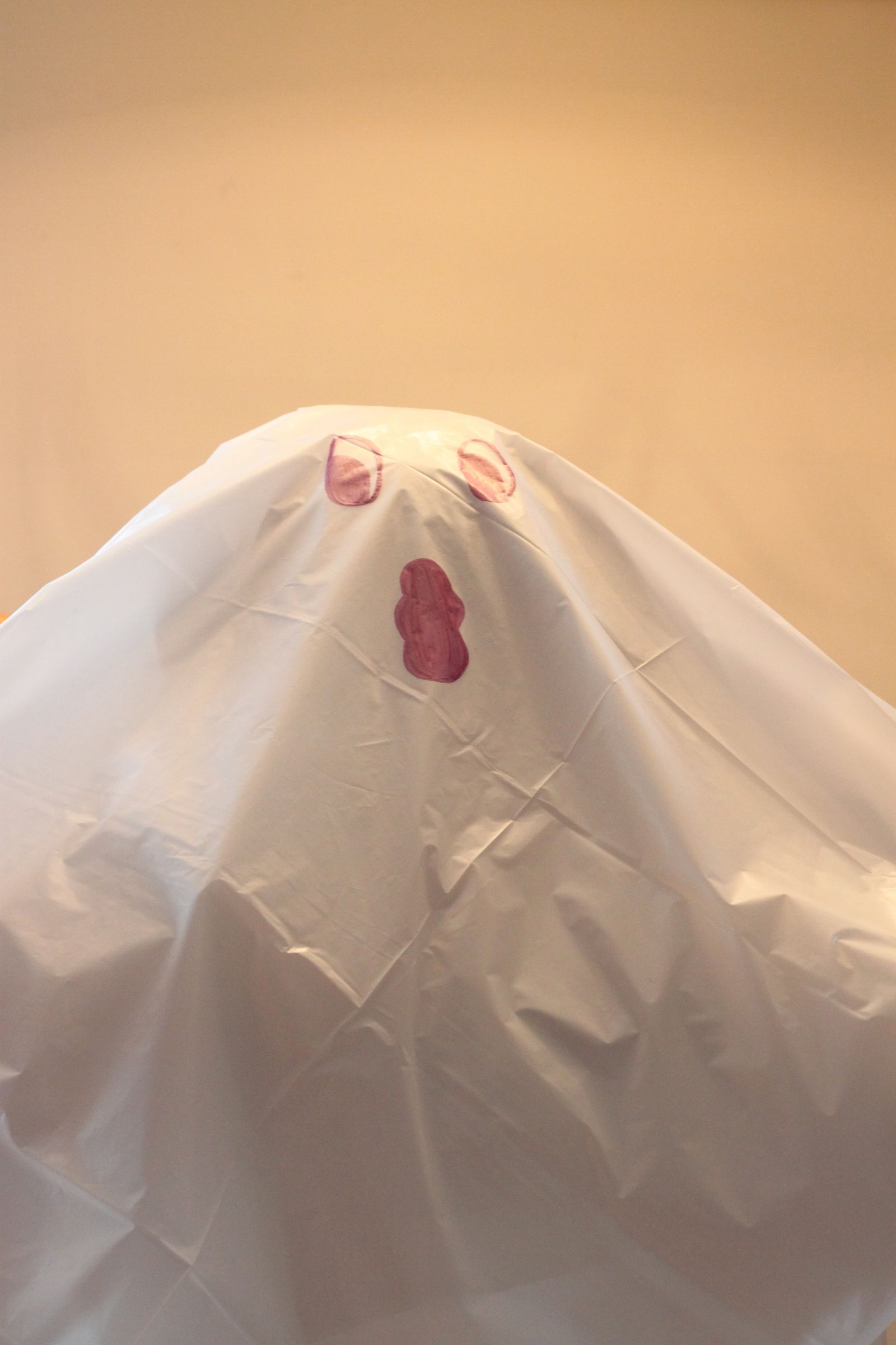 Easy-Peasy (and Cheap!) Ghost Pinata