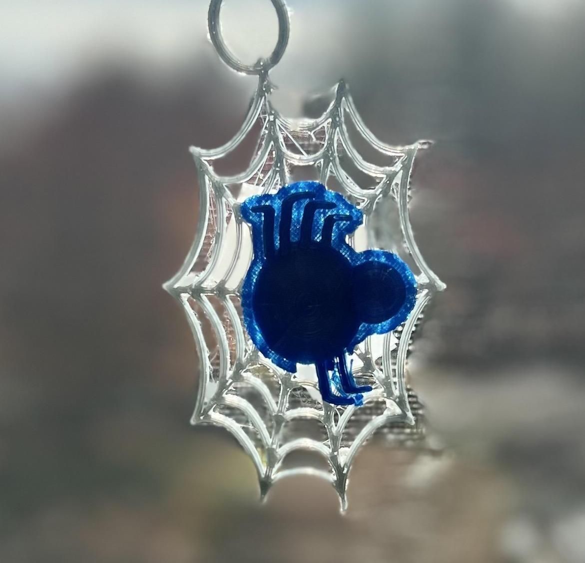 Spiders and Their Webs