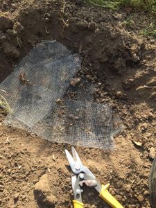 Prepare the Pot and Wire Mesh