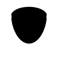 download {{ file.name }}