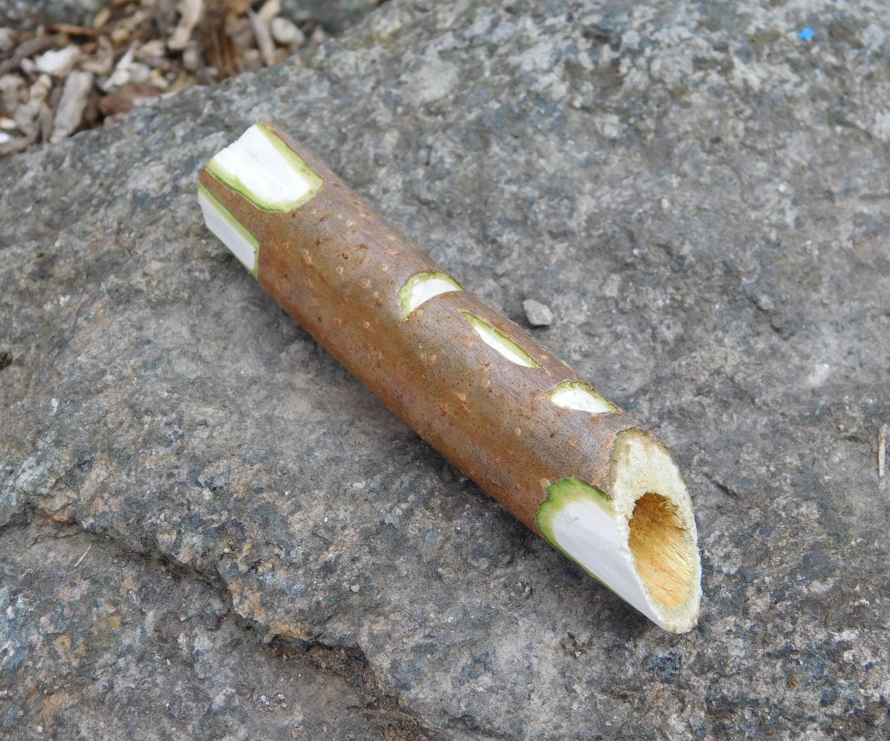 How to Make a Spile(for Collecting Sap)