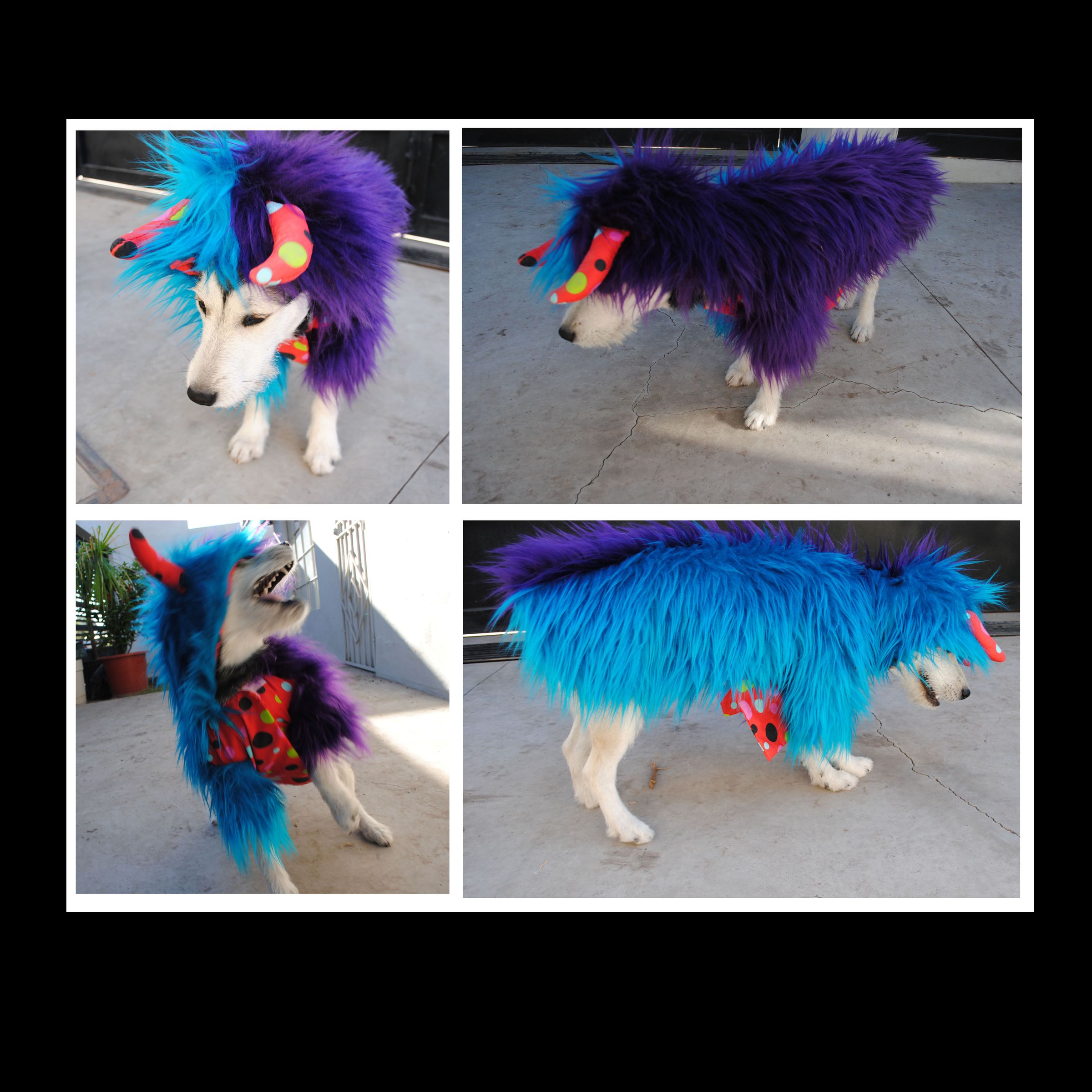 Monsters HOW TO MAKE DOG COSTUME 5 Steps (with Pictures