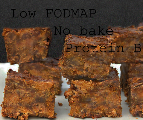 Low FODMAP, No Bake Protein Bars