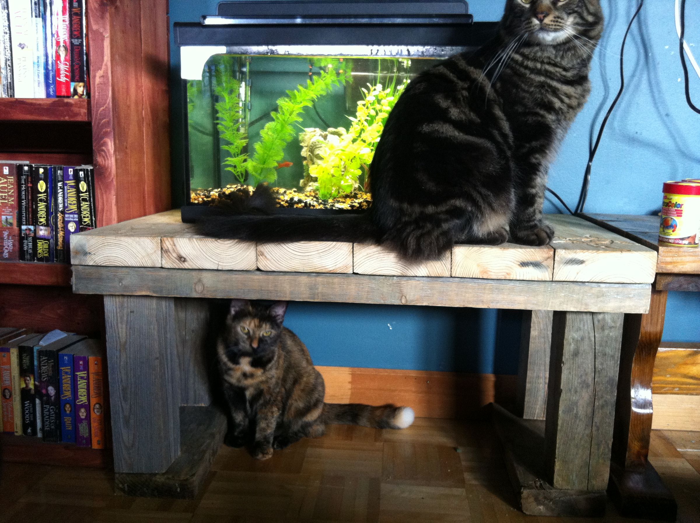 Upcycle Aquarium Stand or Coffee Table