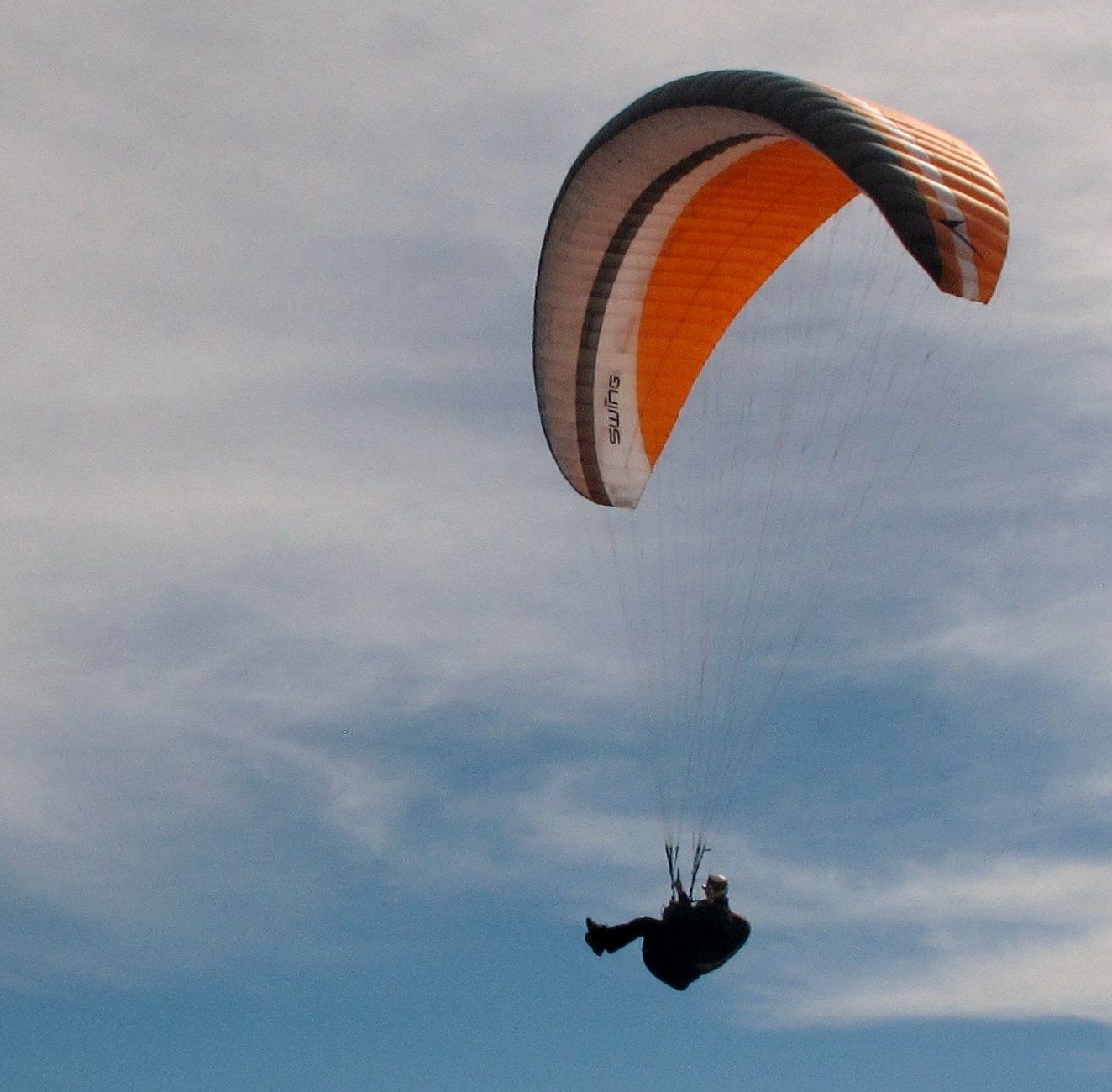 thescientistformerlyknownasNaegeli