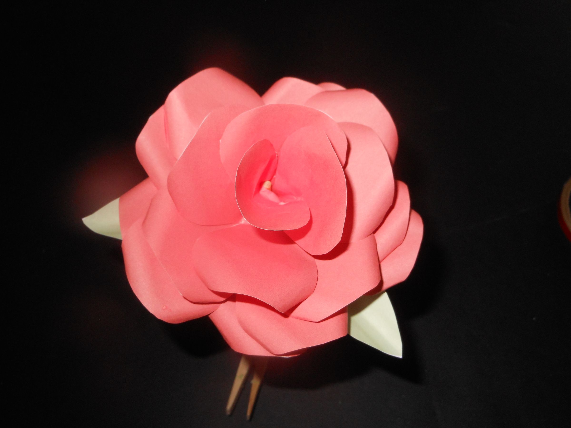 How to Create a Paper Rose
