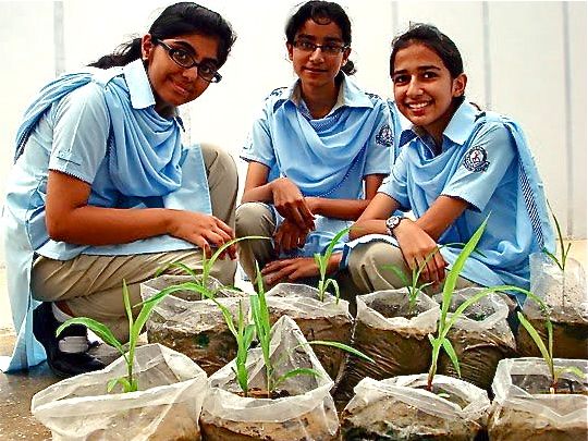 How to Grow Crops in Bags or Sacks - Part 2