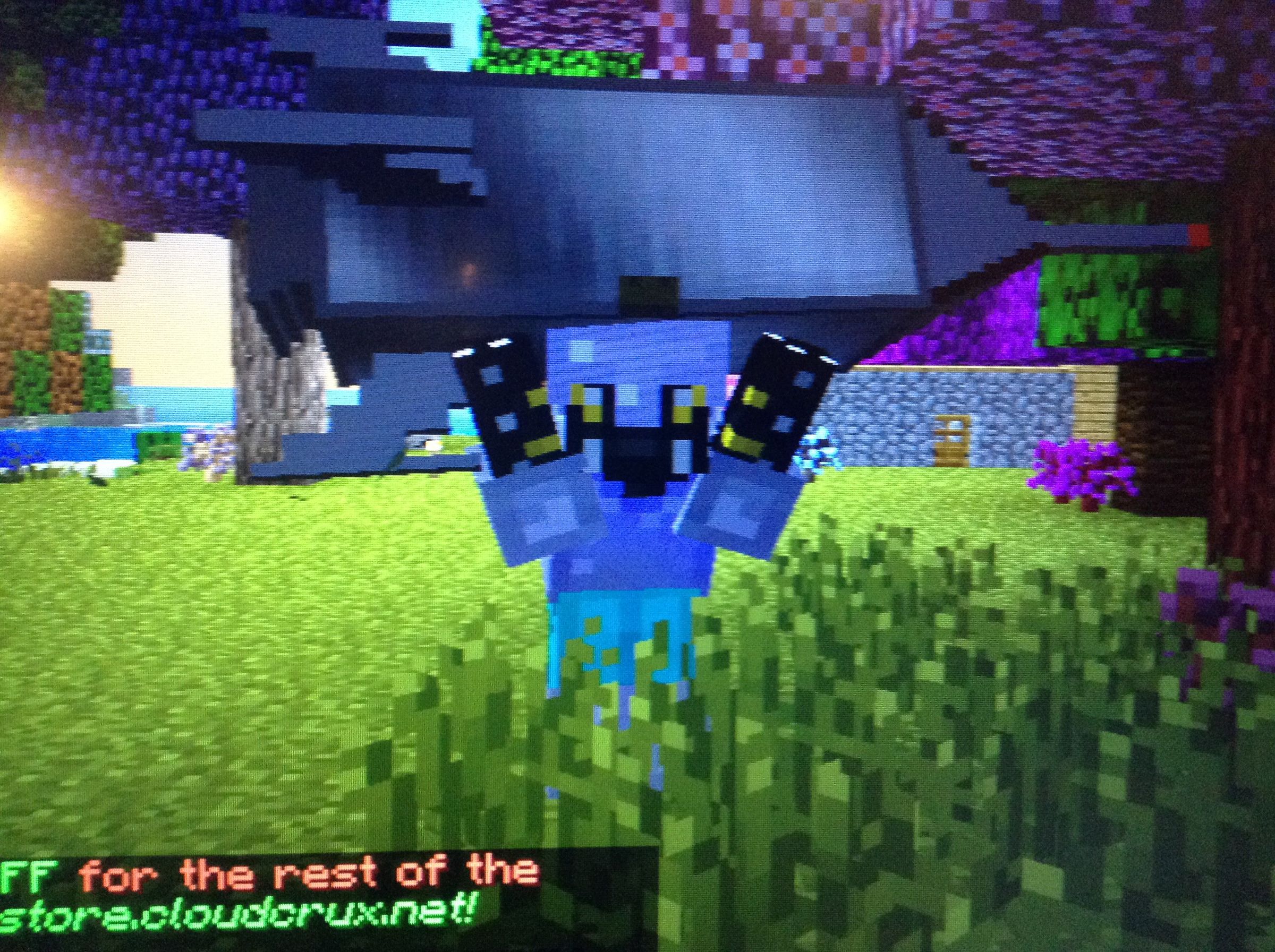 Fellow Minecraft Players