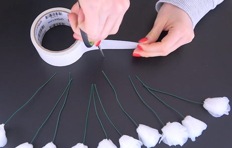 How Are the Leaves Made?