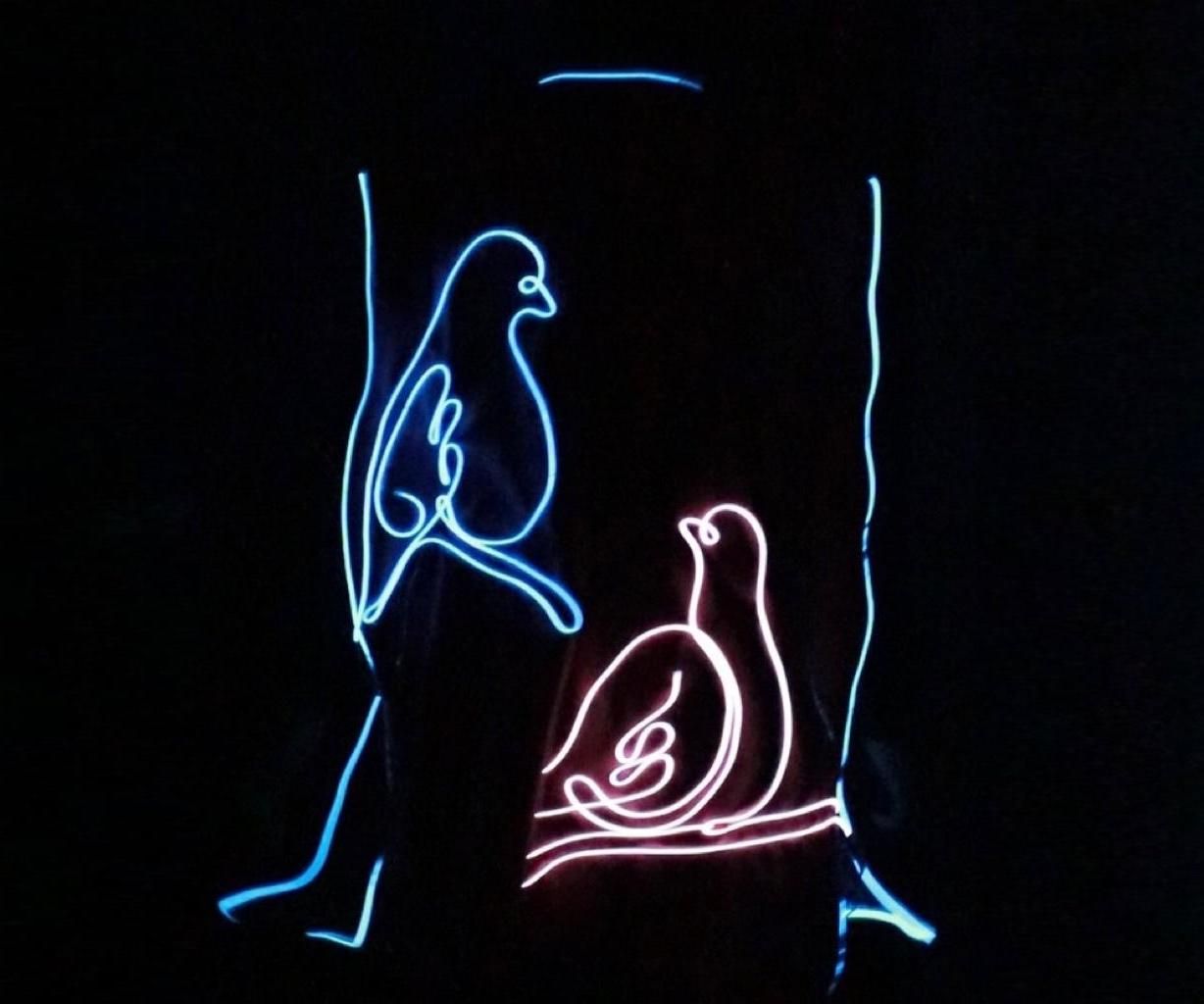 Studio Project 2: Enhanced Clothing With Glowing EL Wire