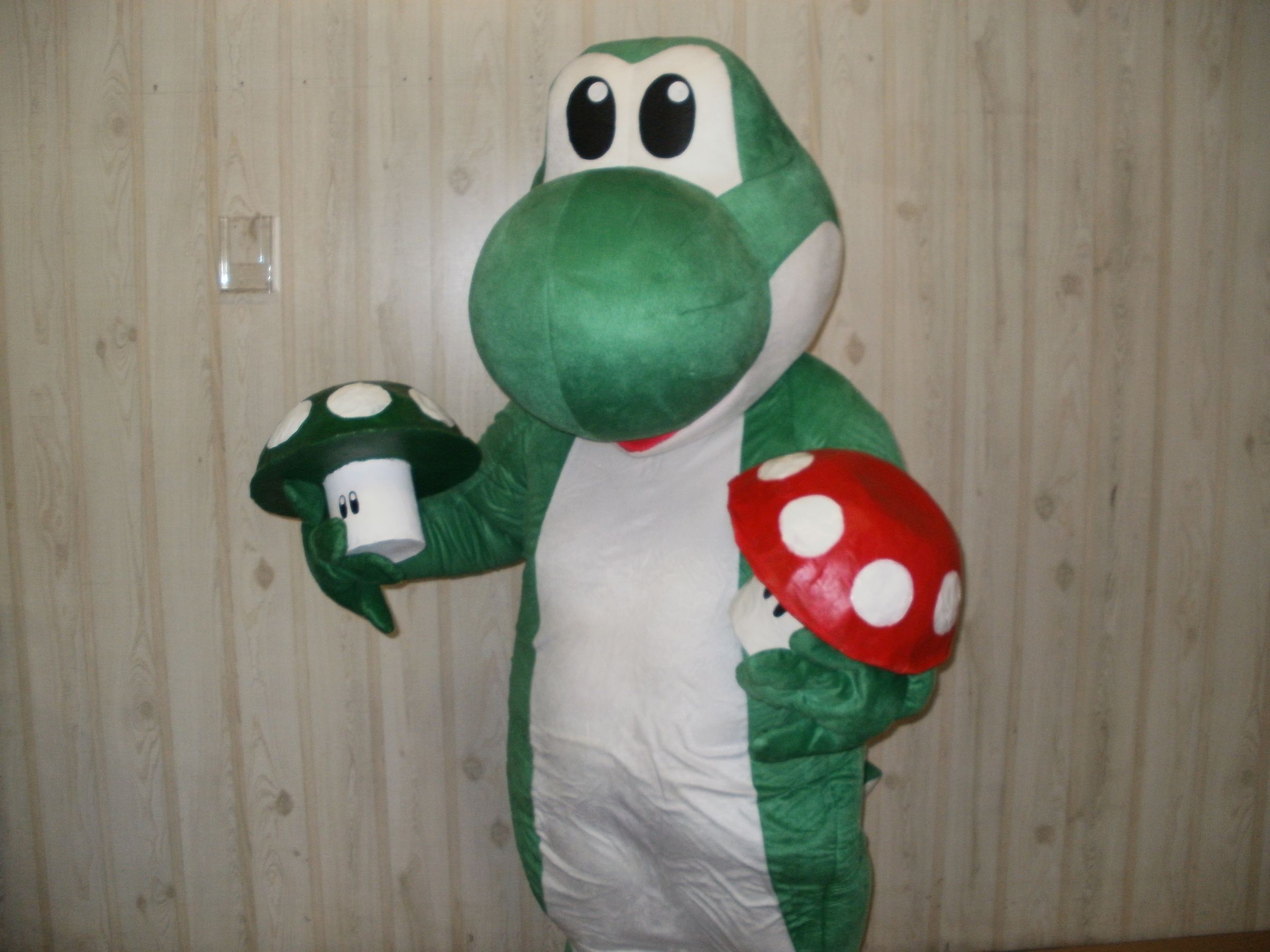 Super Mario Brother's Mushrooms