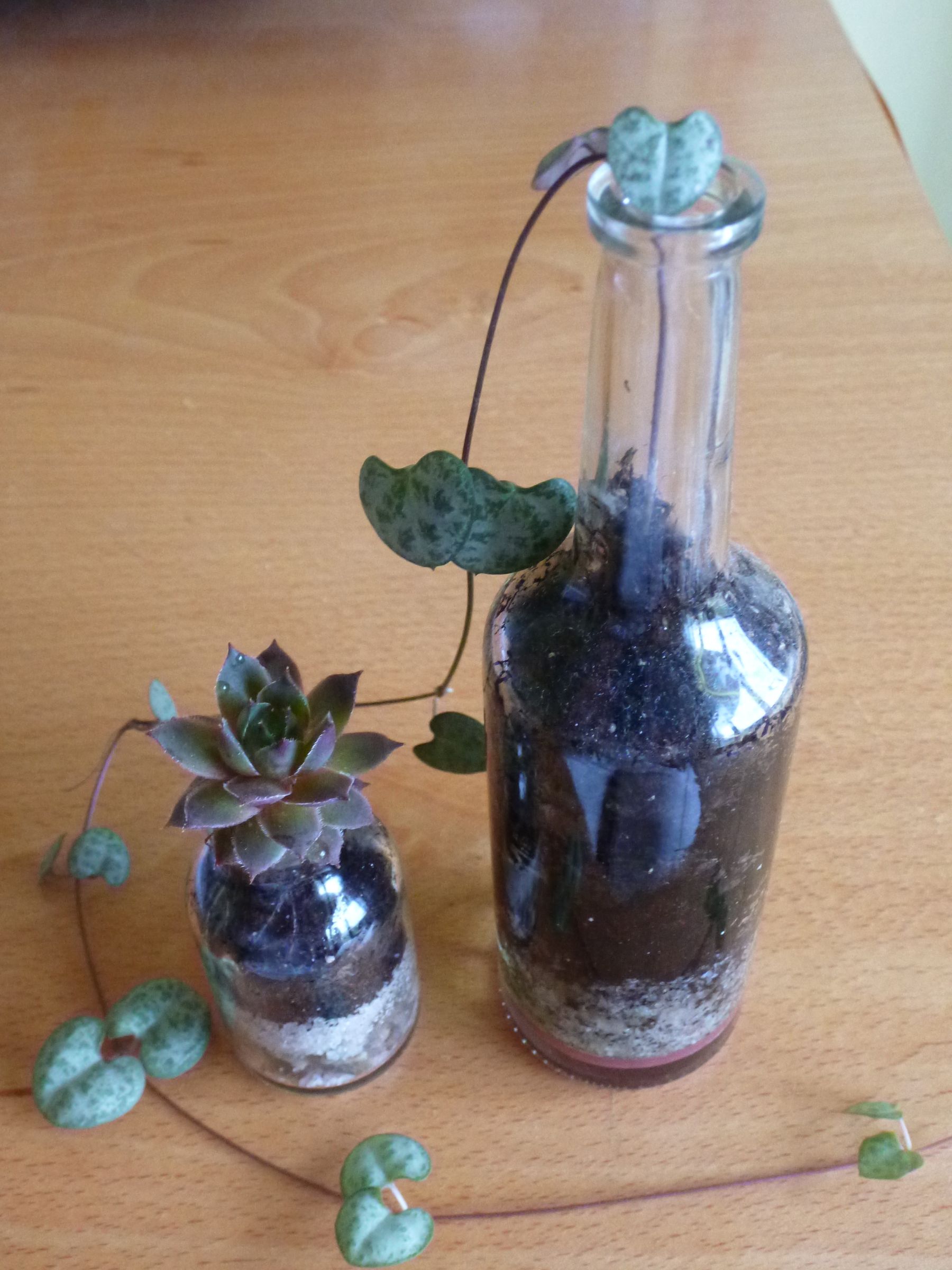 Drug Bottle Planter