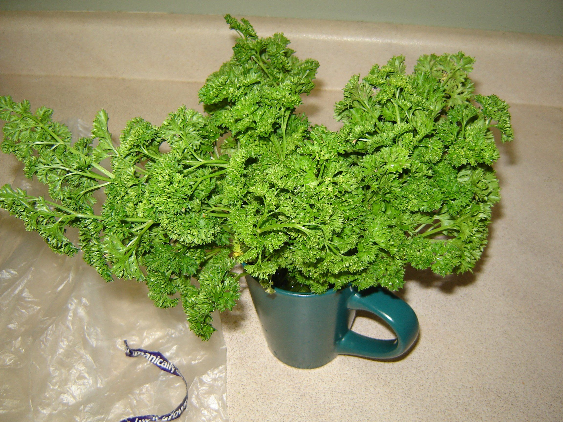 How to Keep Fresh Herbs Fresh 4 Steps (with Pictures) Instructables