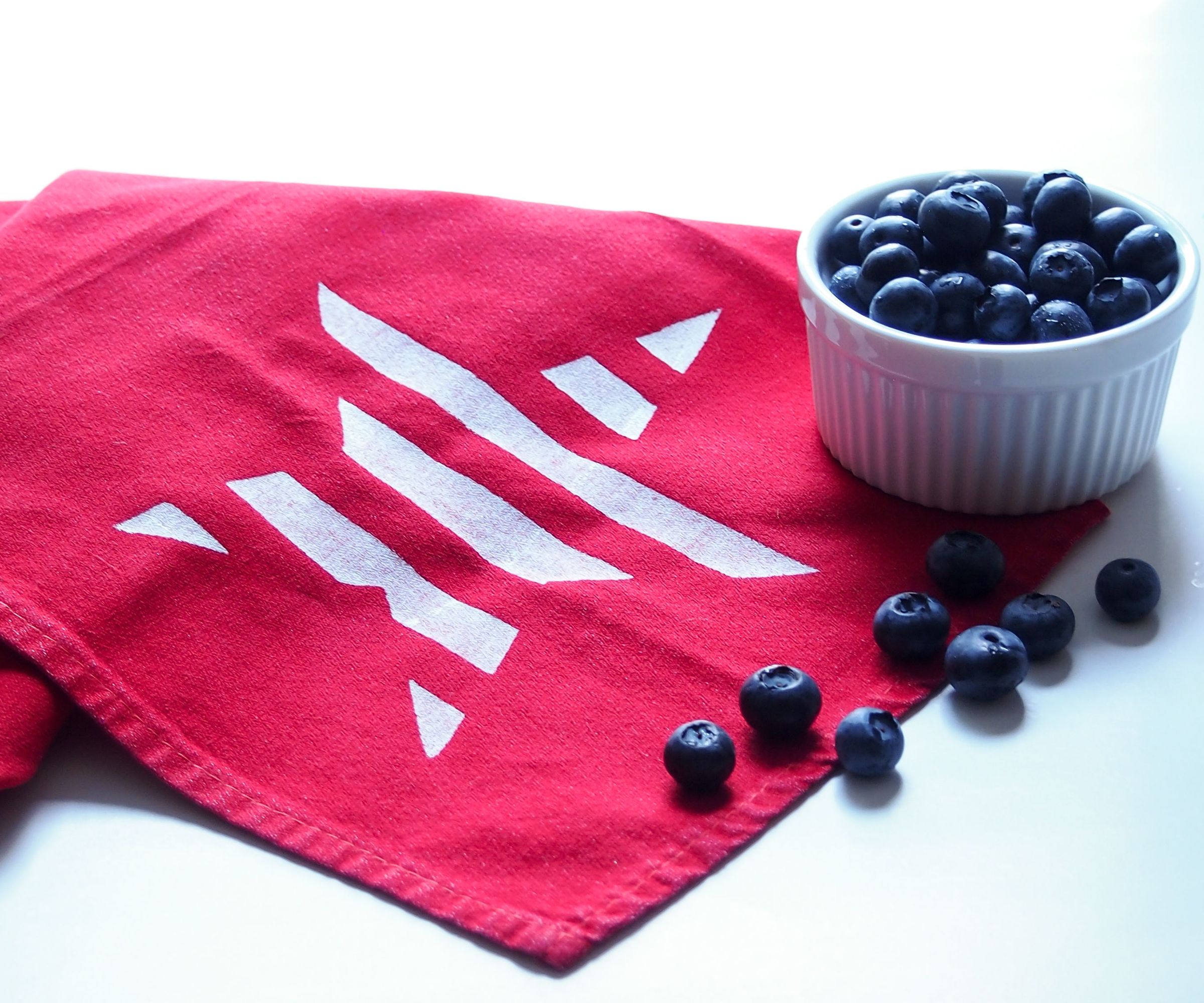 Embroidery Hoop Screen Printing--Easy 4th of July Projects