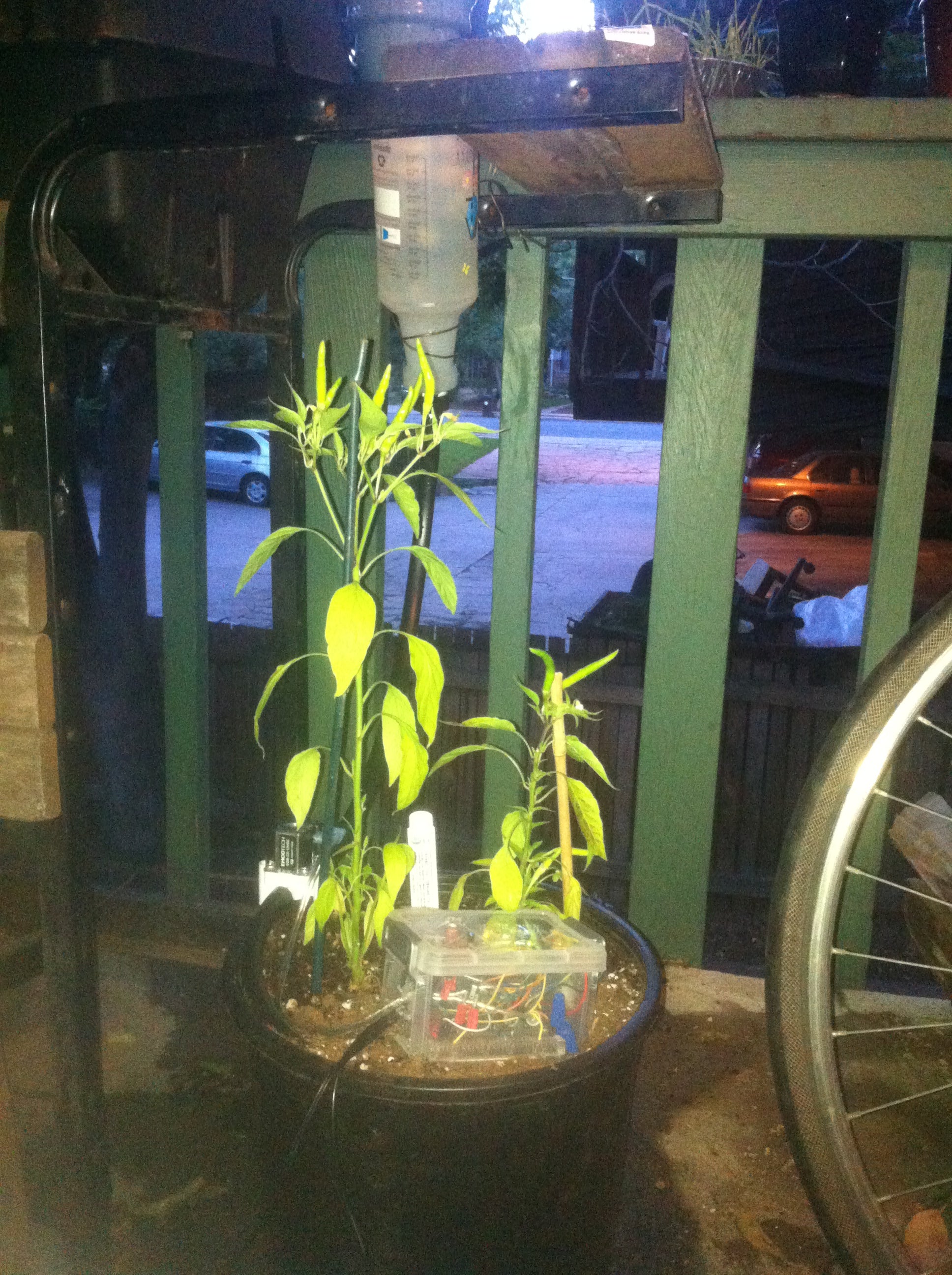 Arduino Gardening : 8 Steps - Instructables