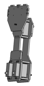 Torso