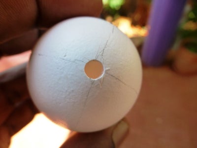 Wash and Clean the Egg Shells