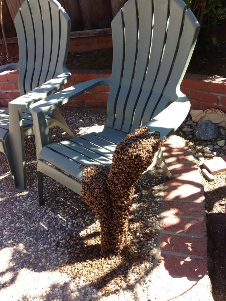 how to get rid of a swarm of bees