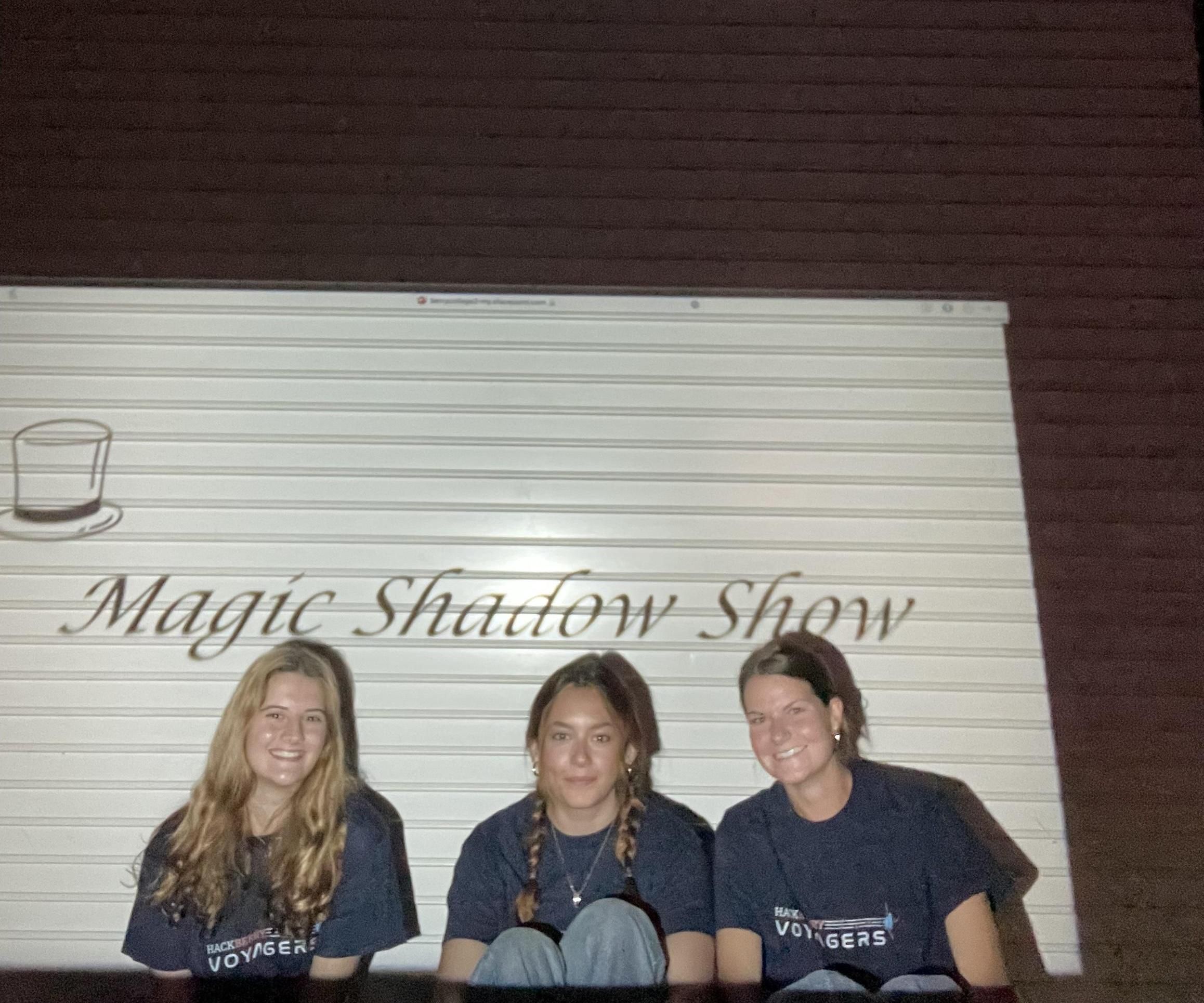 Shadow Activity for Students: "The Magic Shadow Show!"