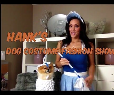 Dog Costume Fashion Show