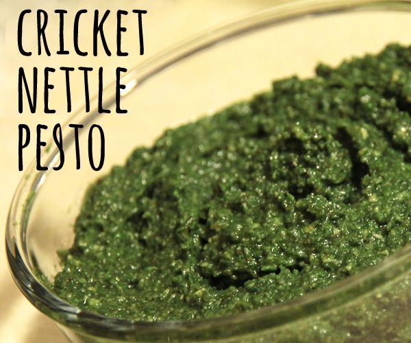 Paleo Cricket Nettle Pesto