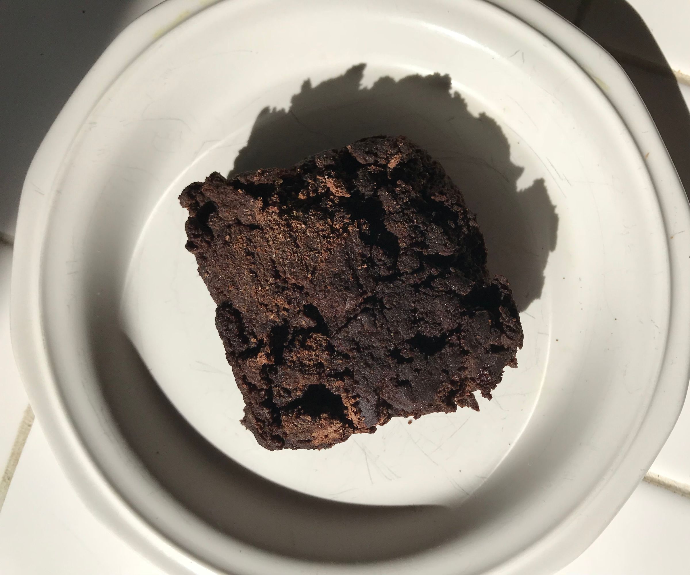 100 Cal Gluten Free, Vegan Brownie in Minutes!