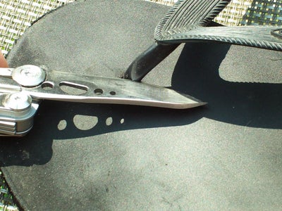 Show the Thong Who's Boss