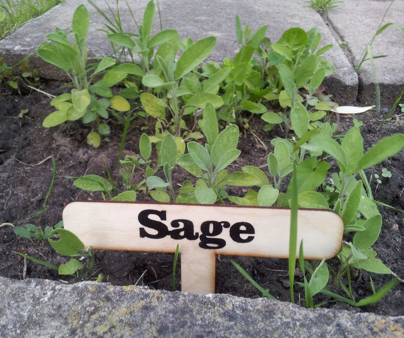 Vinyl Cutter Stencilled Herb Signs