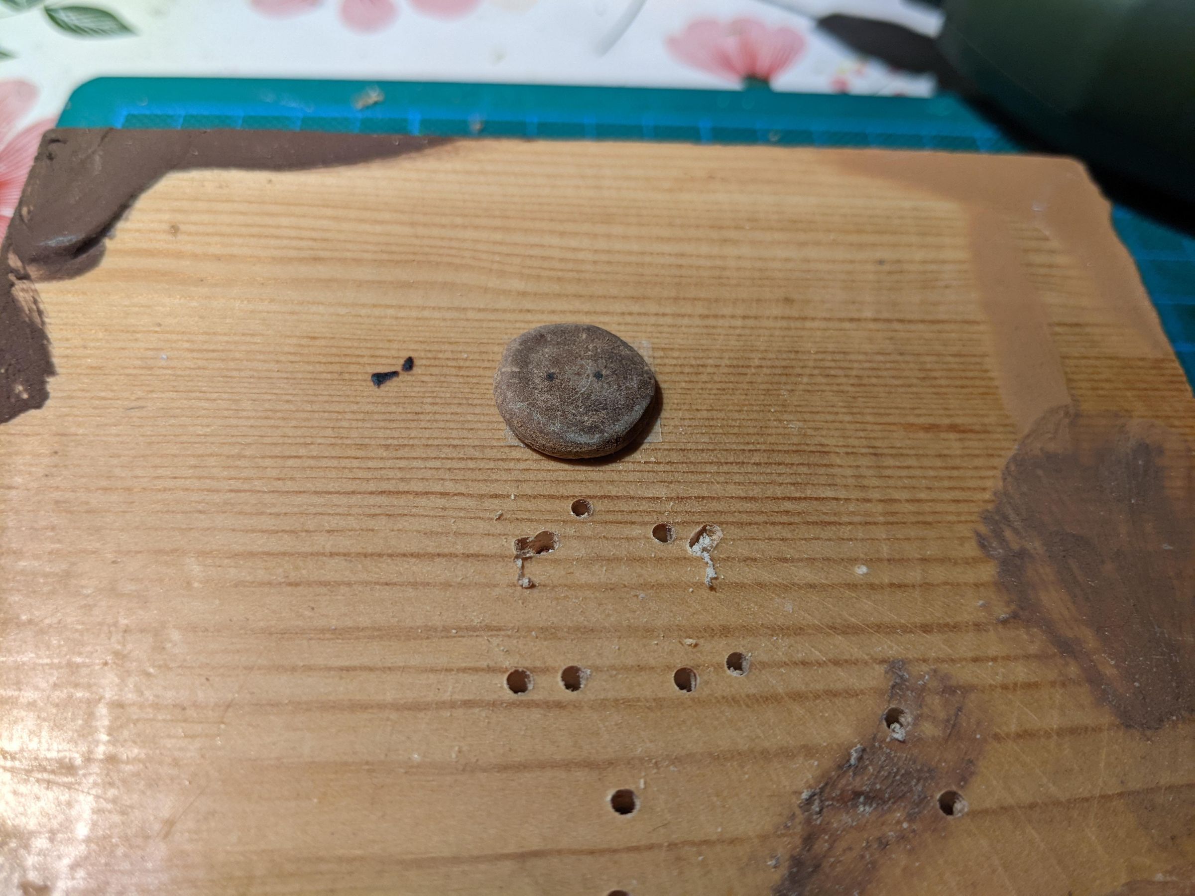 Buttons From Avocado Pits : 8 Steps (with Pictures) - Instructables