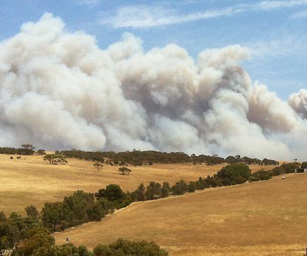 Bushfire Preparation - Simple Gutter Filler