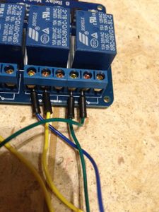 Relay Output Side 24V