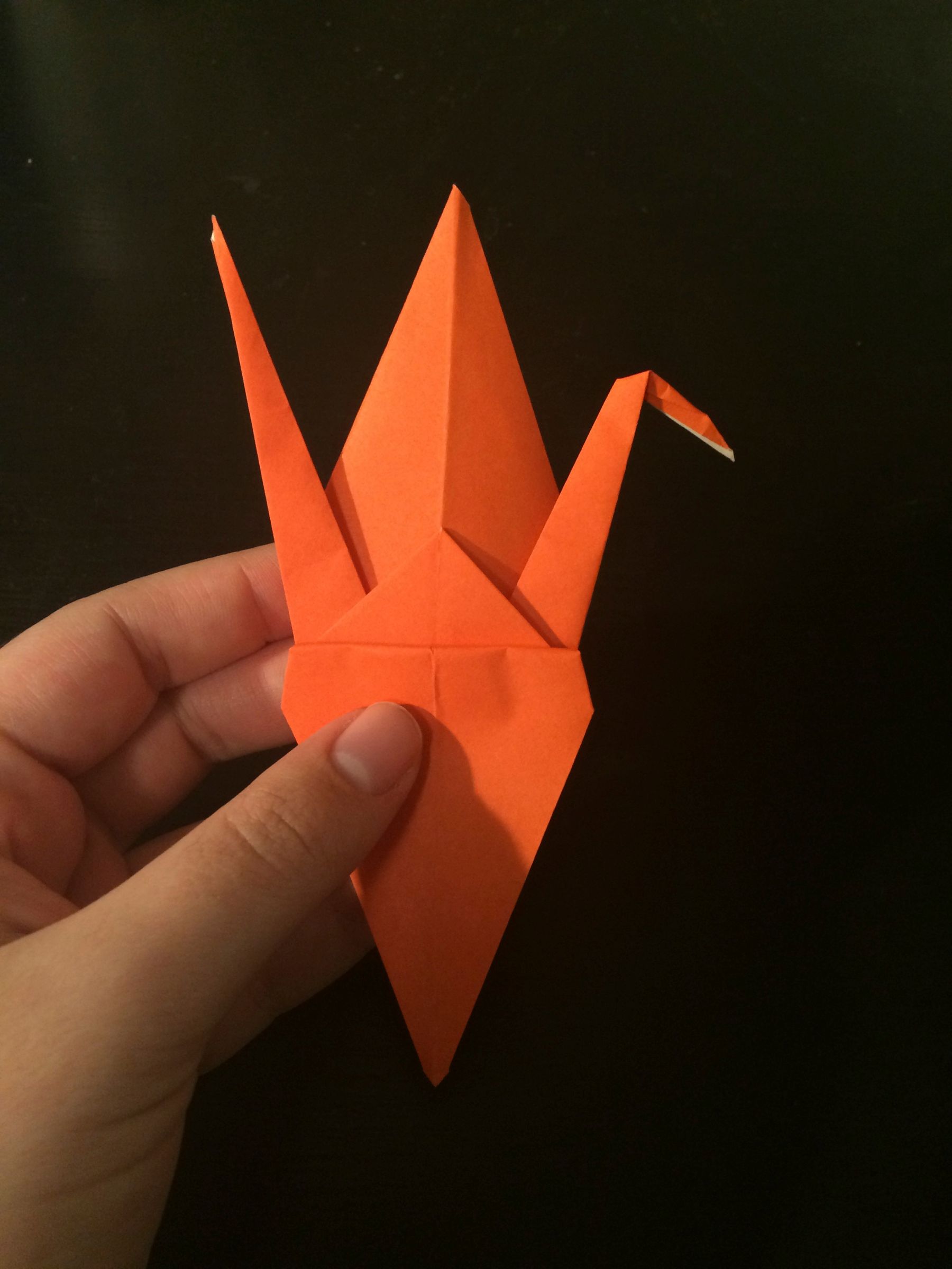 How to Fold a Paper Crane : 18 Steps - Instructables