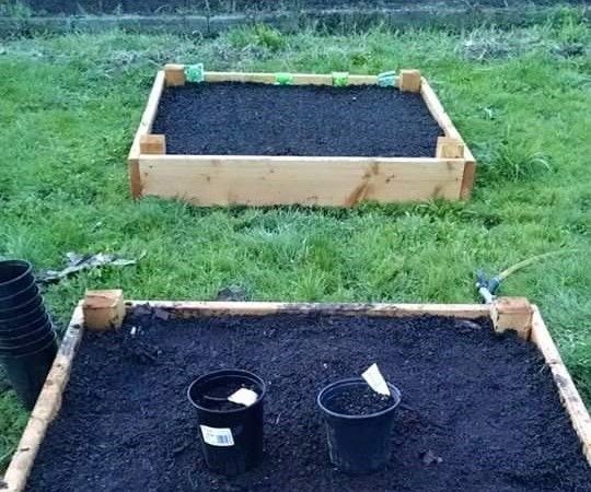 Building a Raised Garden
